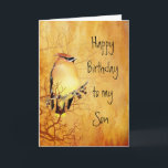 Warm Copper Cedar Waxwing Bird Son Birthday Card<br><div class="desc">Warm Copper Cedar Waxwing Bird l Birthday for your Son</div>