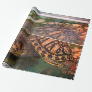Warm Earth-Tone Turtle Wrapping Paper