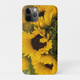 Warm Golden Sunflower Custom Case-Mate iPhone Case