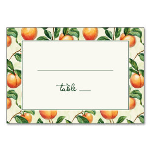 Warm Peach Botanical Border Table Number
