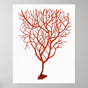 Warm Red Sea Coral no.6 Beach Wall Art Print