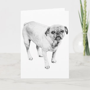 Warm Shaded Dog Shares Heartfelt Smiles And Love Card