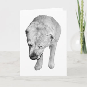 Warm Wishes, Shaded Lab Smile Card