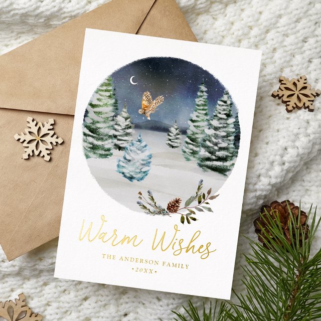 Warm Wishes Woodland Owl Winter Scene Non-Photo (Creator Uploaded)