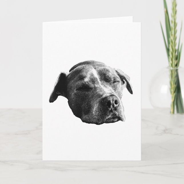 Warm Words, Gentle Shade Card (Front)