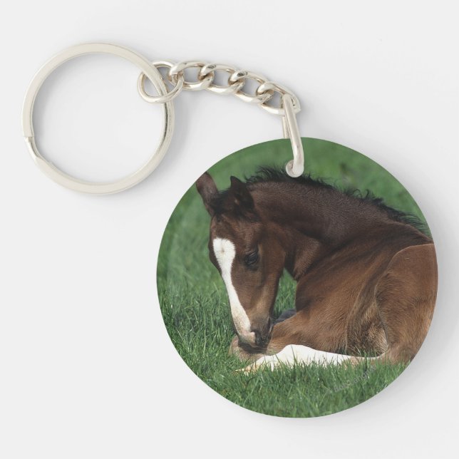 Warmblood Foal Laying Down Key Ring (Front)