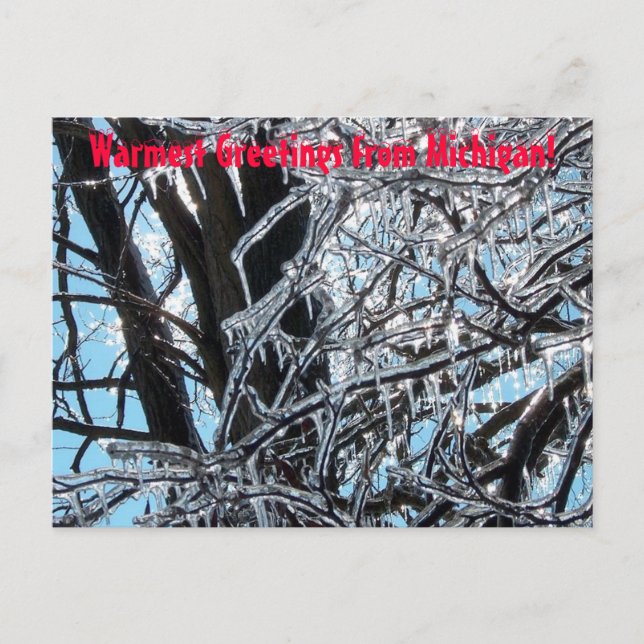 Warmest Greetings from Michigan! Postcard (Front)