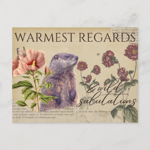 Warmest Regards Woodchuck Vintage-Style Postcards