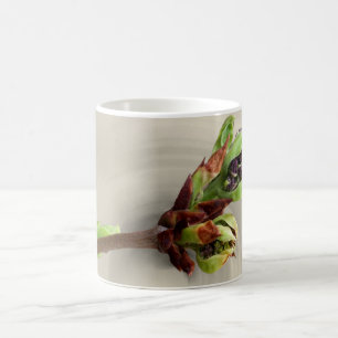 warmth of spring coffee mug