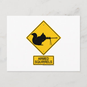 Warning Armed Squirrels Postcard