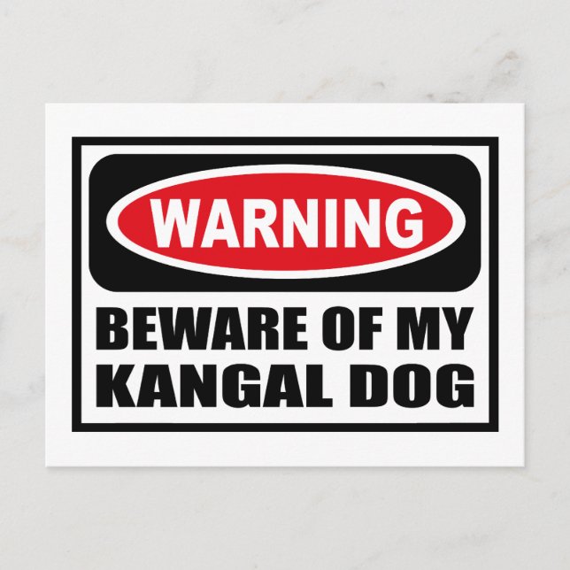 Warning BEWARE OF MY KANGAL DOG Postcard (Front)