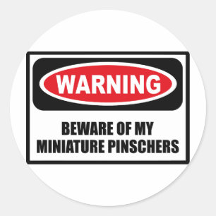 Warning BEWARE OF MY MINIATURE PINSCHERS Sticker