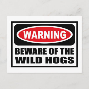 Warning BEWARE OF THE WILD HOGS Postcard