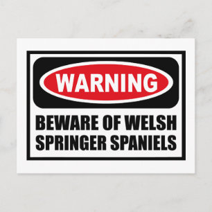 Warning BEWARE OF WELSH SPRINGER SPANIELS Postcard