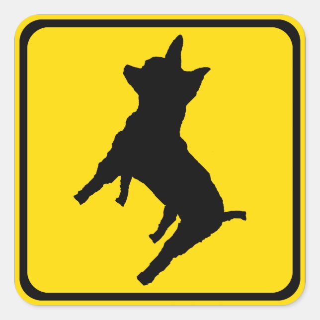 Warning - Chihuahua ahead! Square Sticker (Front)