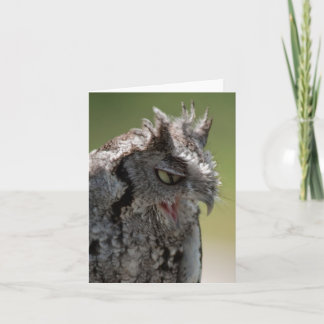 Warning From a Screech Owl note card