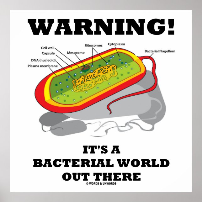 Warning! It's A Bacterial World Out There Poster (Front)