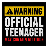 Warning Official Teenager 13th Birthday Gift