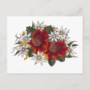 Warratha Flannel Flower Postcard