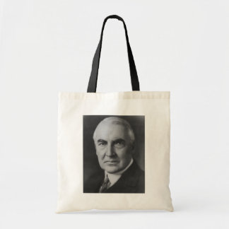 Warren G. Harding 29 Tote Bag