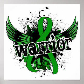Warrior 16 Kidney Disease Poster