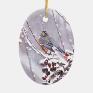 Warrior American Robin In Winter Ceramic Tree Decoration