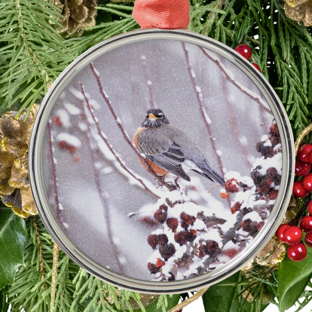 Warrior American Robin In Winter Metal Tree Decoration (Creator Uploaded)