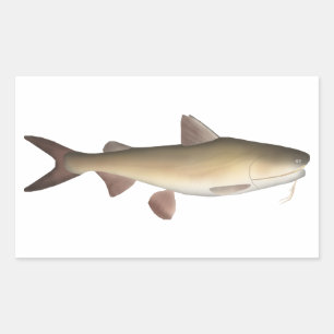 Warrior Catfish Rectangular Sticker