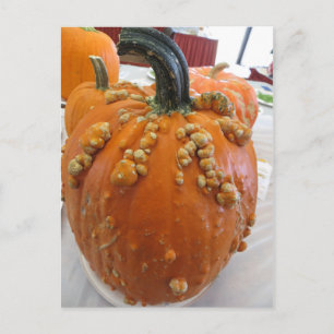 Warted Pumpkin Postcard