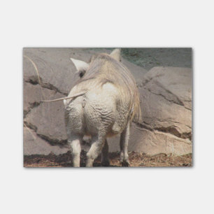 Warthog Behind Post-it Notes
