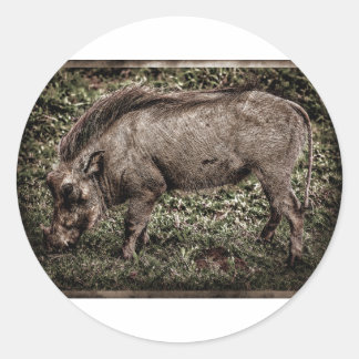 Warthog. Classic Round Sticker
