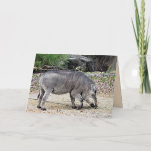 Warthog Greeting Card