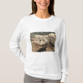 Warthog Hoody