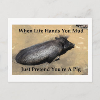 Warthog Picture with quote "when life hands you Postcard