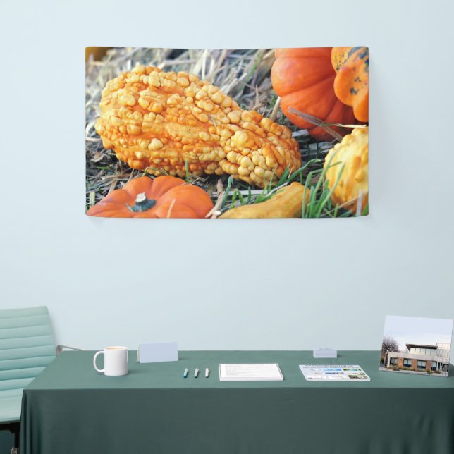 Warty Gourd  Banner (Tradeshow)