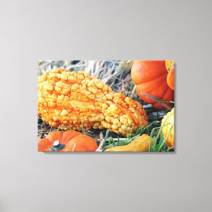 Warty Gourd Canvas Print
