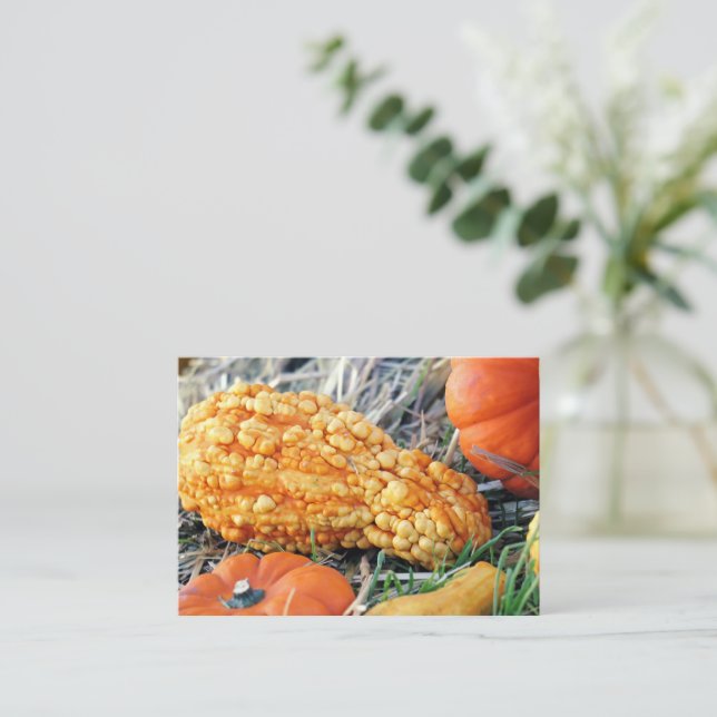 Warty Gourd  Enclosure Card (Standing Front)