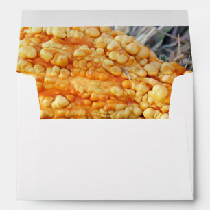Warty Gourd Envelope