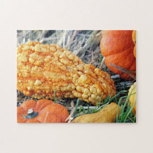 Warty Gourd Jigsaw Puzzle