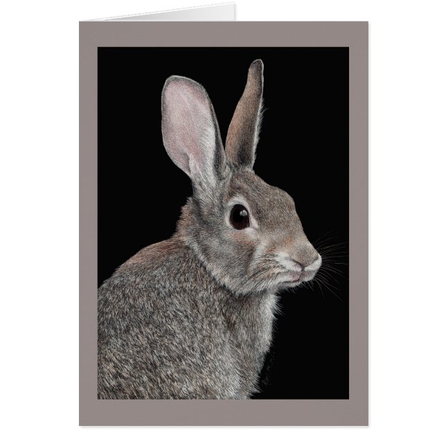 "Wary" - Cottontail Rabbit (Front)