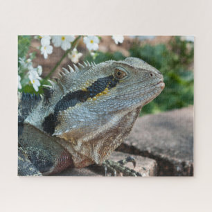 Wary Eastern Water Dragon Lizard Jigsaw Puzzle