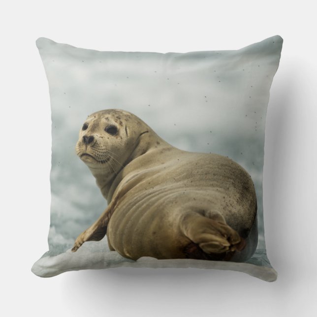 Wary Seal Cushion (Front)