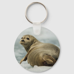 Wary Seal Key Ring