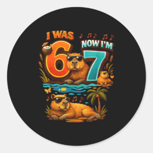Was six seven 6 7 capybara 67 meme 7th birthday classic round sticker