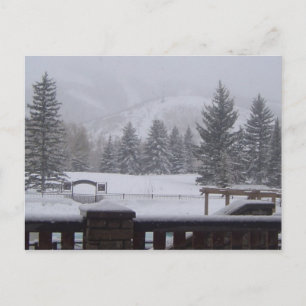 Wasatch Mountains, Park City, Utah Postcard