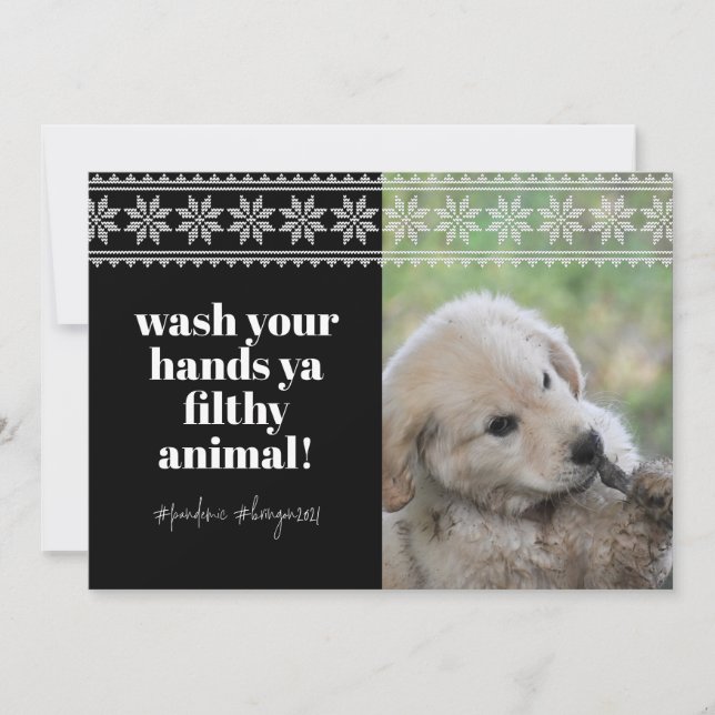 Wash Hands 2020 Funny Humour Sweater Cute Dog Phot Holiday Card (Front)