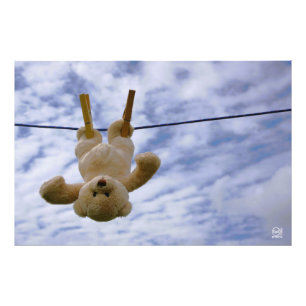 Wash line with cubob boar hanging to dry. photo print