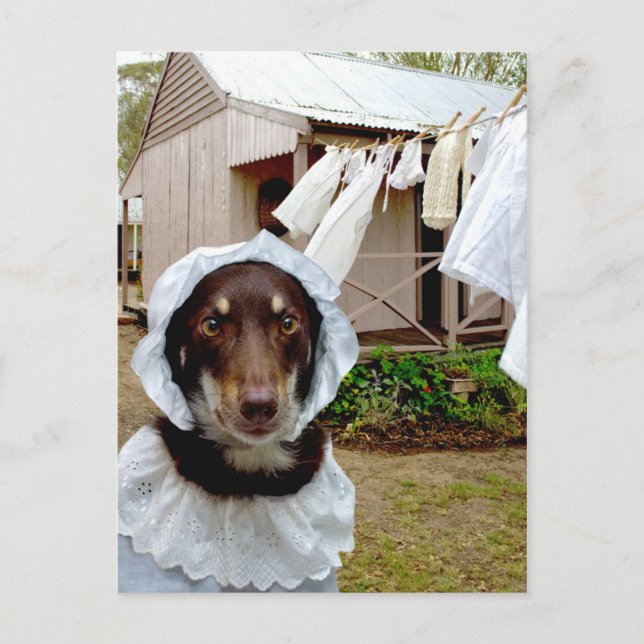 Washerwoman Postcard (Front)