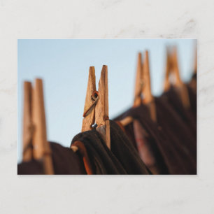 Washing line postcard