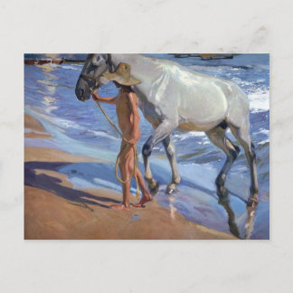 Washing the Horse Postcard